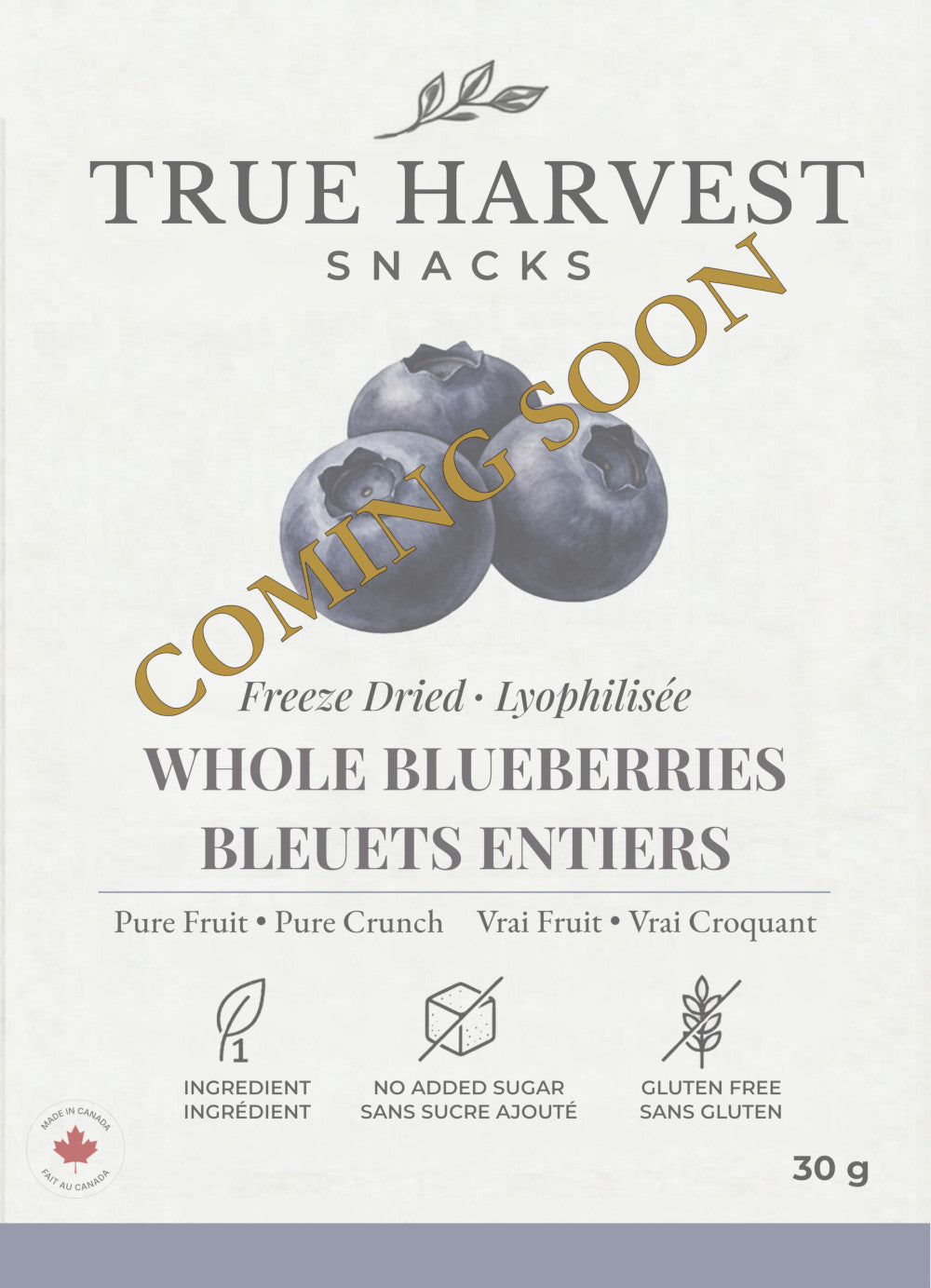 Freeze Dried Fruit Blueberries Snack Canada