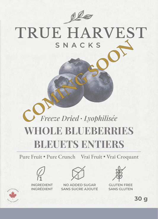 Freeze Dried Fruit Blueberries Snack Canada